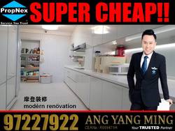 Blk 290B Bukit Batok Street 24 (Bukit Batok), HDB Executive #171231452